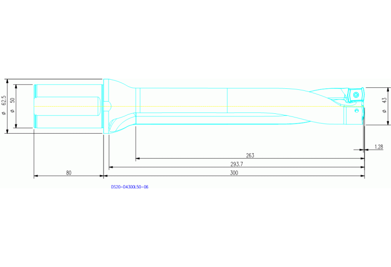 DS20-D4300L50-06