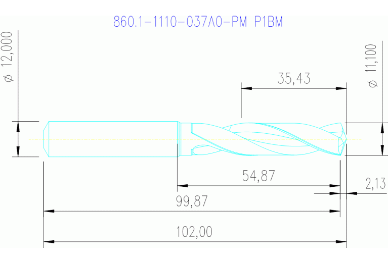 860.1-1110-037A0-PM P1BM