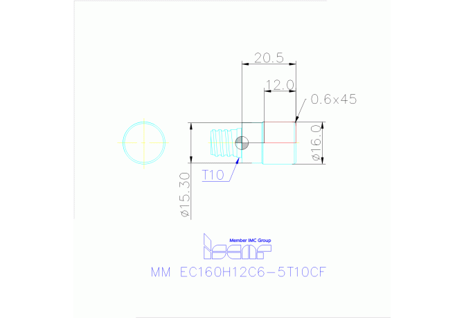 MM EC160H12C6-5T10CF IC308