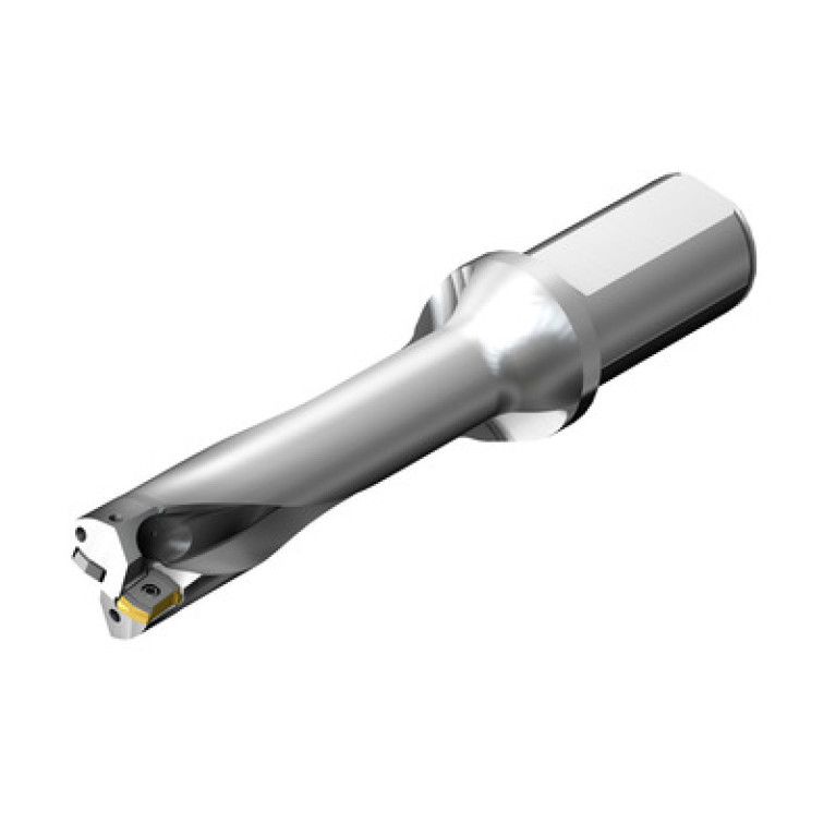 DS20-D6500L50-04