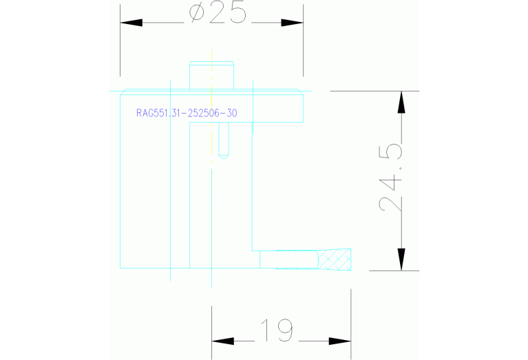 RAG551.31-252506-30
