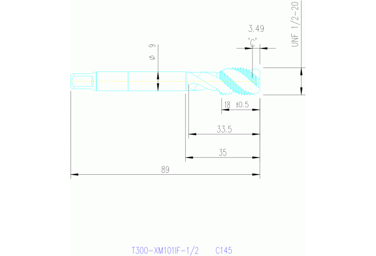 T300-XM101IF-1/2 C145