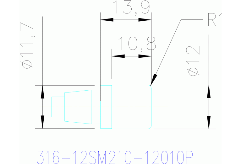 316-12SM210-12010P 1030