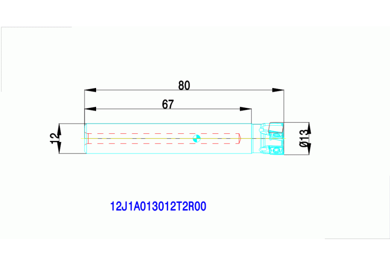 12J1A013012T2R00