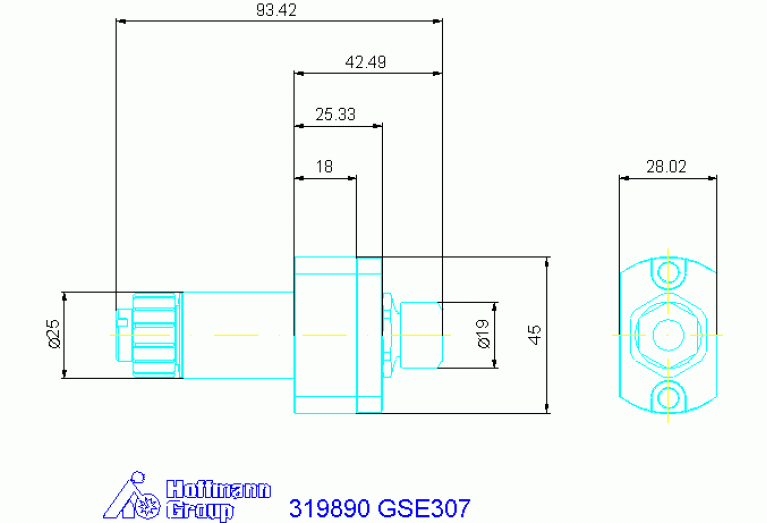 319890 GSE307
