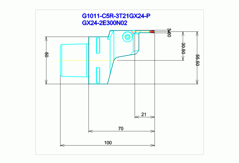 G1011-C5R-3T21GX24-P