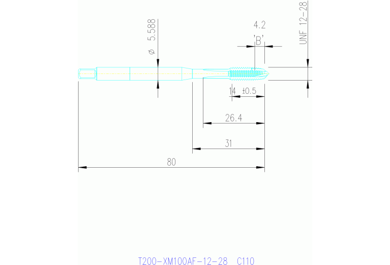 T200-XM100AF-12-28 C110