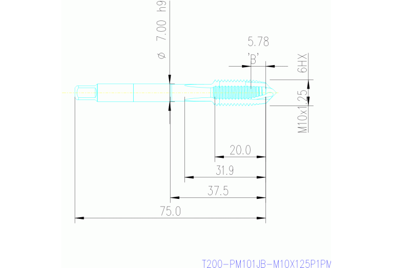 T200-PM101JB-M10X125P1PM