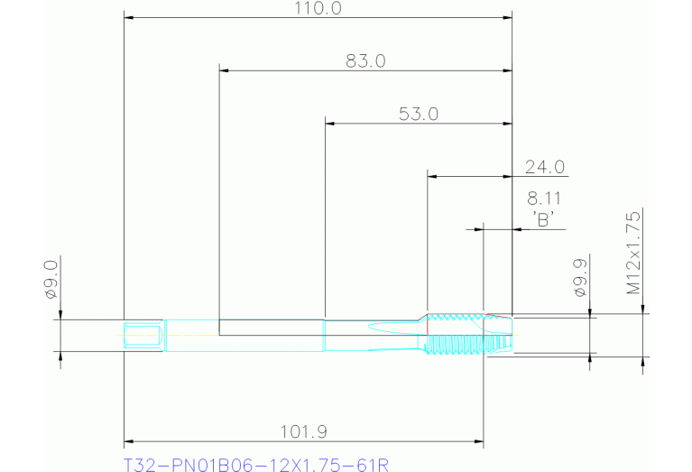 T32-PN01B06-12X1.75-61R