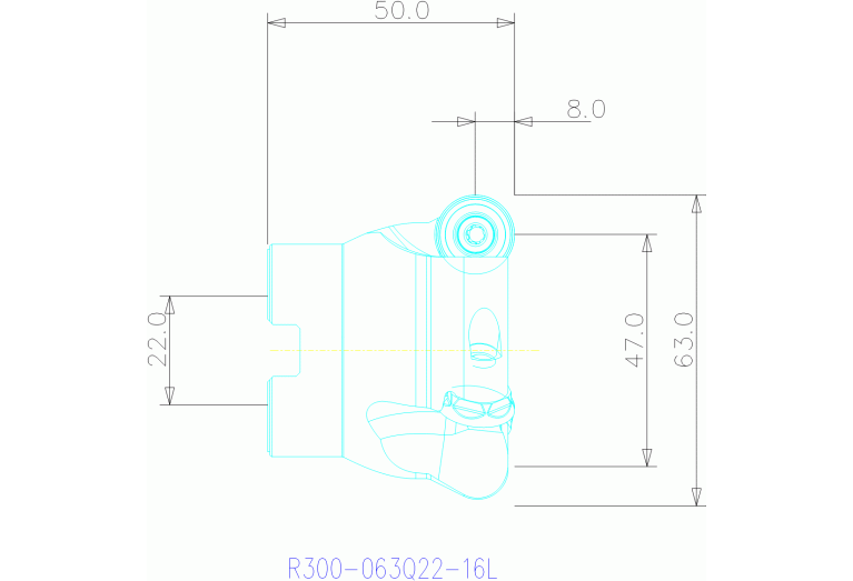 R300-063Q22-16L