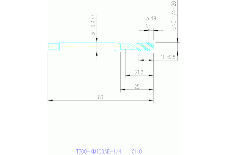 T300-XM100AE-1/4 C110