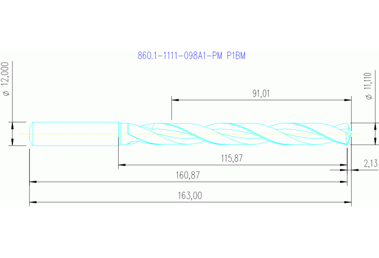860.1-1111-098A1-PM P1BM