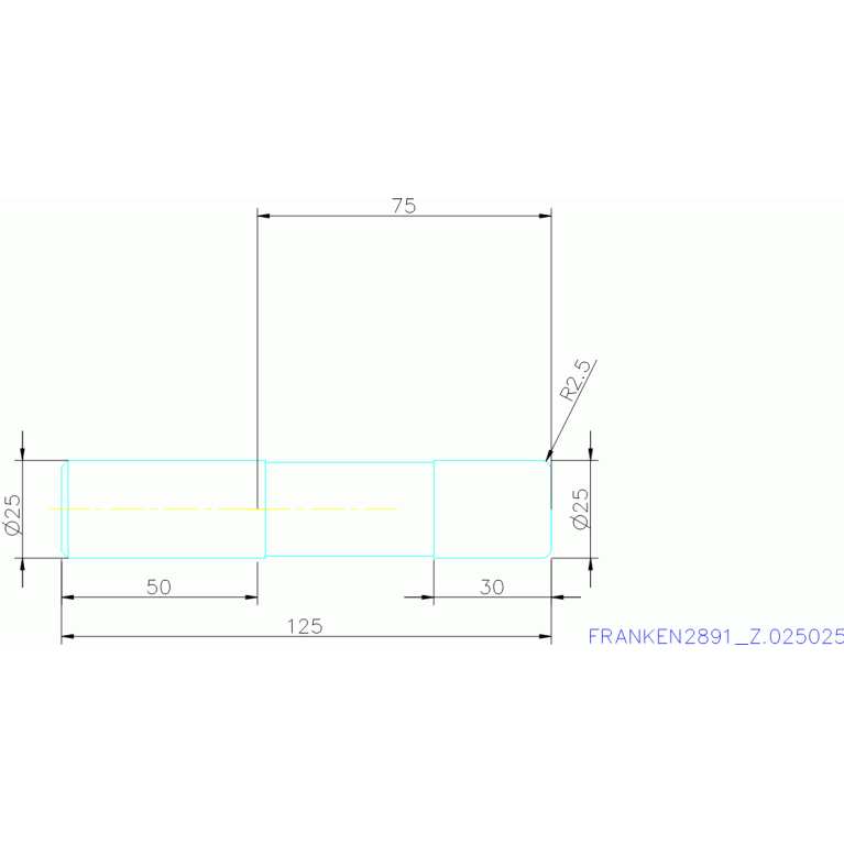2891 Z.025025