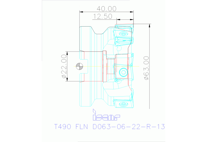 T490 FLN D063-06-22-R-13