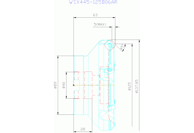 WSX445-125B06AR