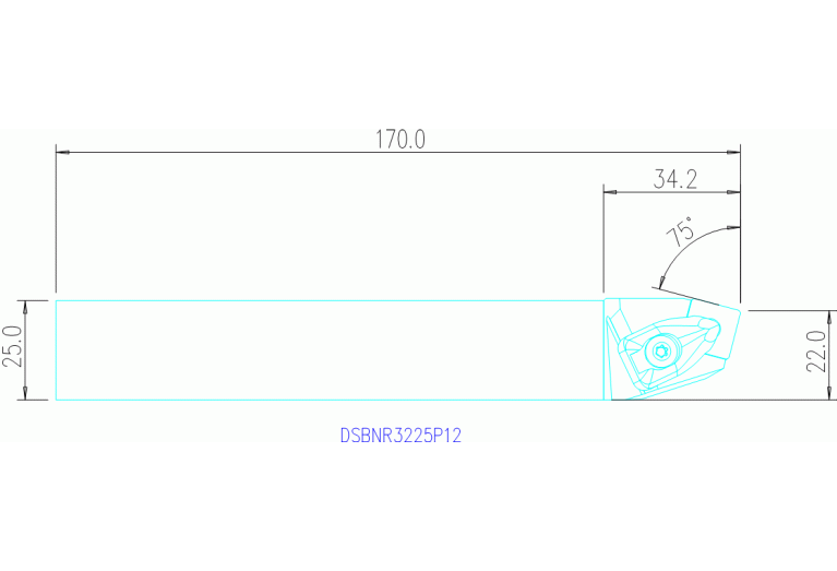 DSBNR3225P12
