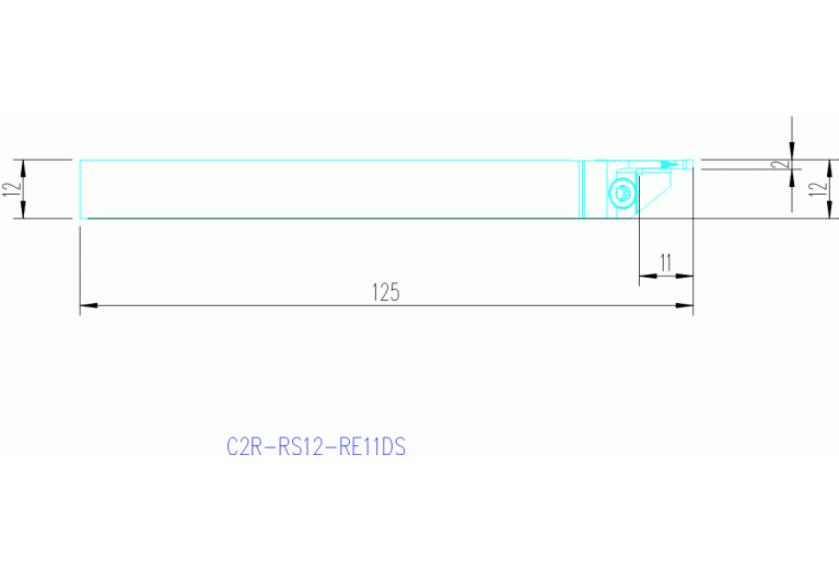 C2R-RS12-RE11DS