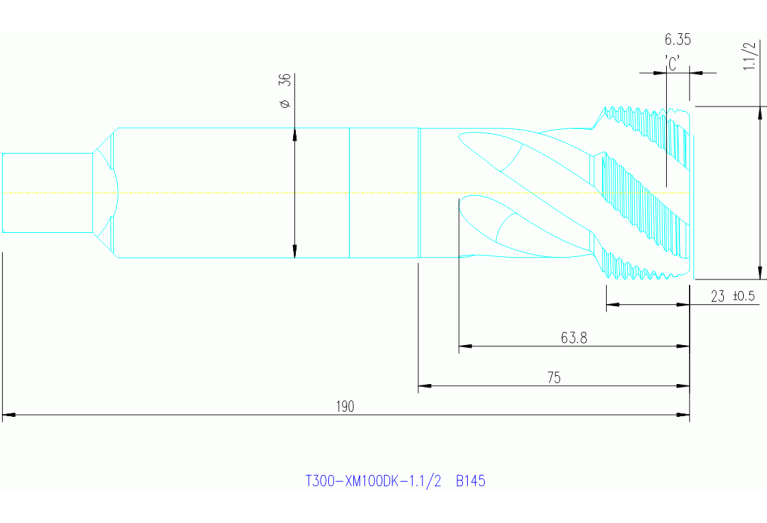 T300-XM100DK-1.1/2 B110