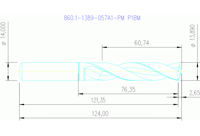 860.1-1389-057A1-PM P1BM