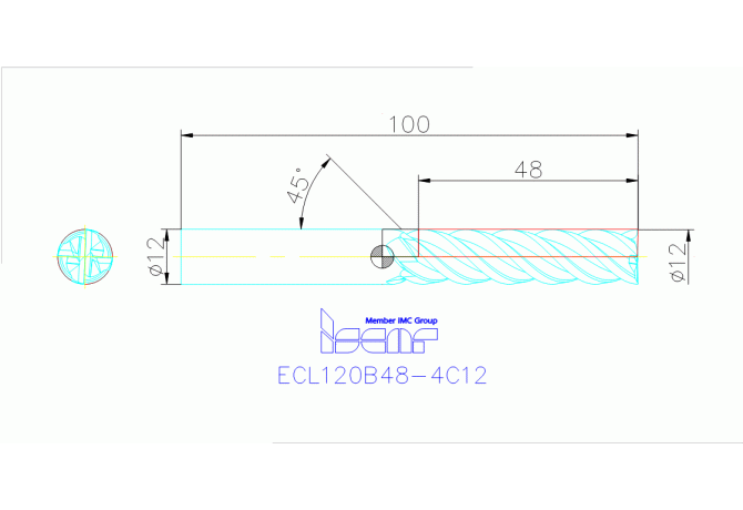 ECL120B48-4C12 IC900