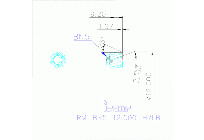 RM-BN5-12.000-H7LB IC08