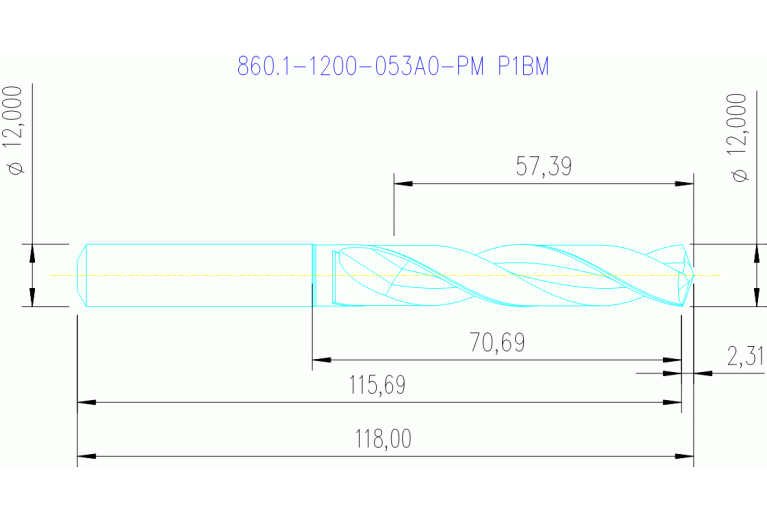 860.1-1200-053A0-PM P1BM