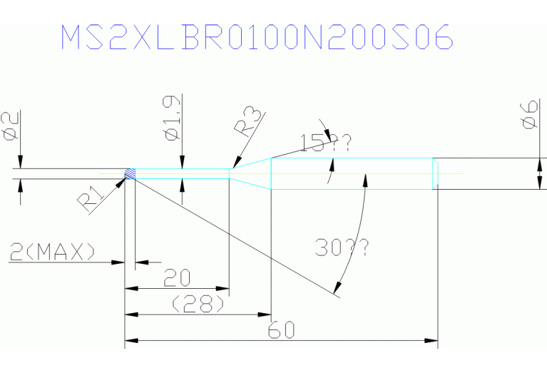 MS2XLBR0100N200S06