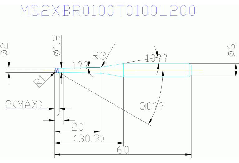 MS2XBR0100T0100L200