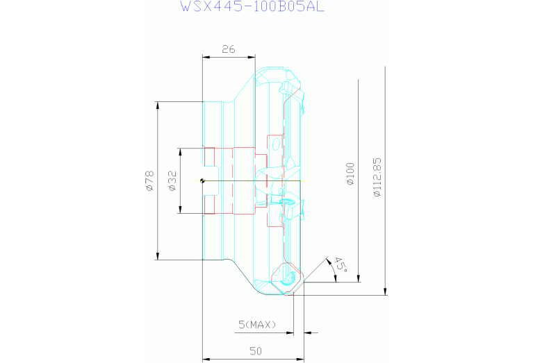 WSX445-100B05AL
