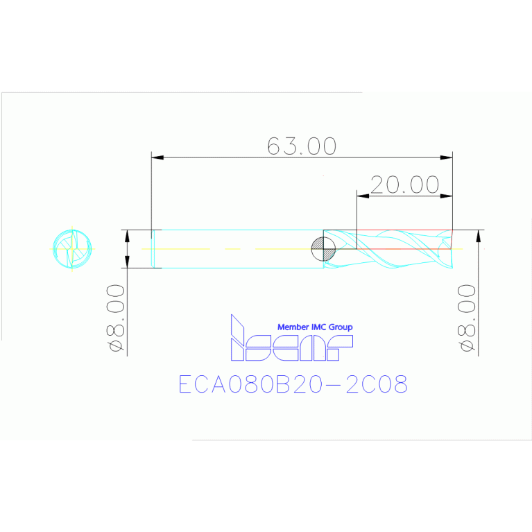 ECA080B20-2C08 IC08