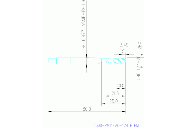 T300-PM114AE-1/4 P1PM