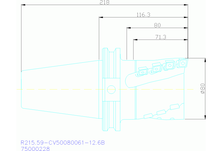 R215.59-CV50080061-12.6B
