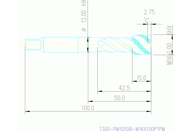 T300-PM101DB-M16X100P1PM