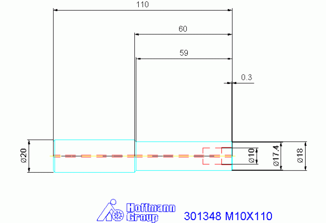301348 M10X110
