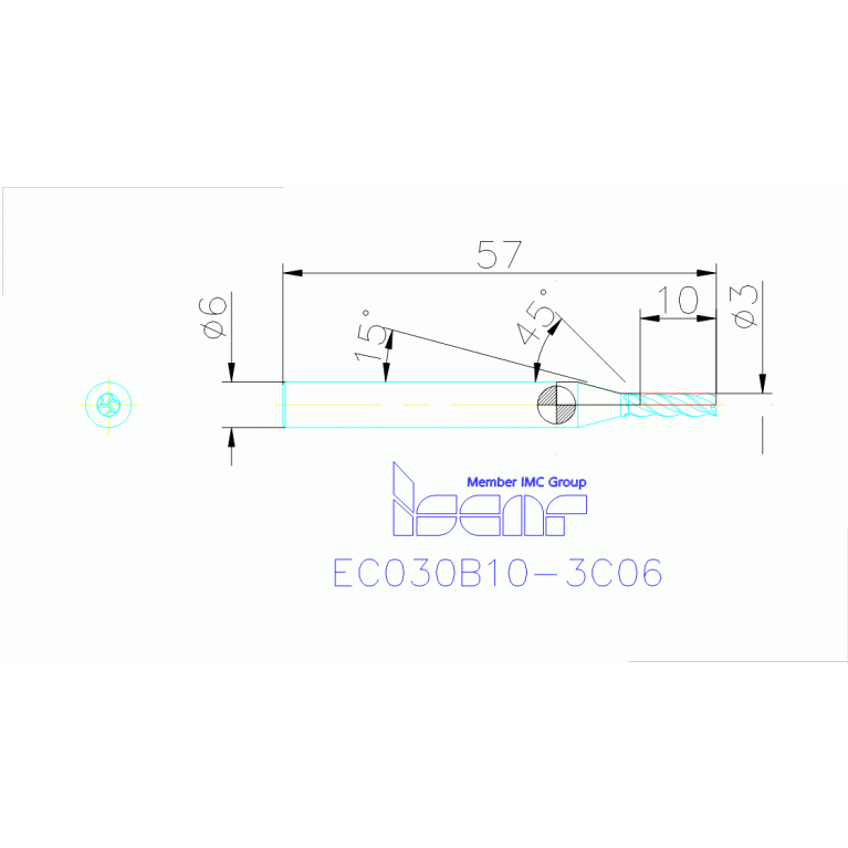 EC030B10-3C06 IC300