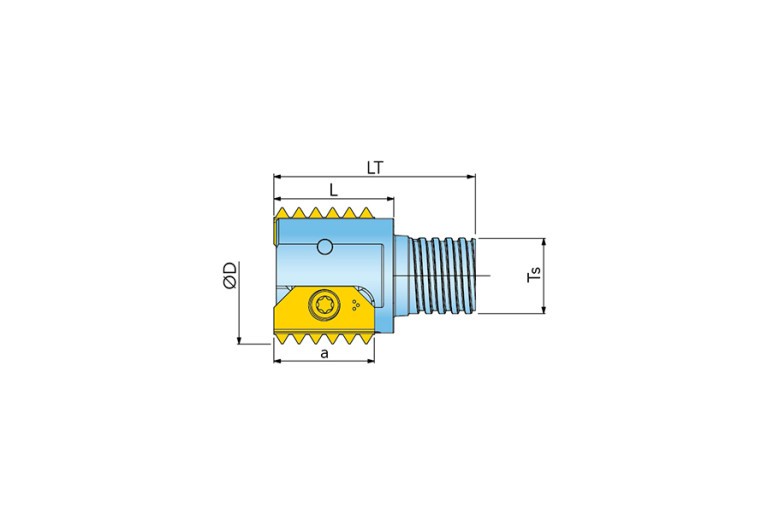 MTED30.4/D1.2-3-CST15-21
