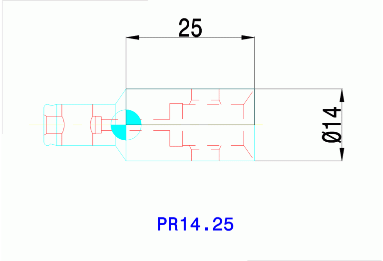 PR14.25