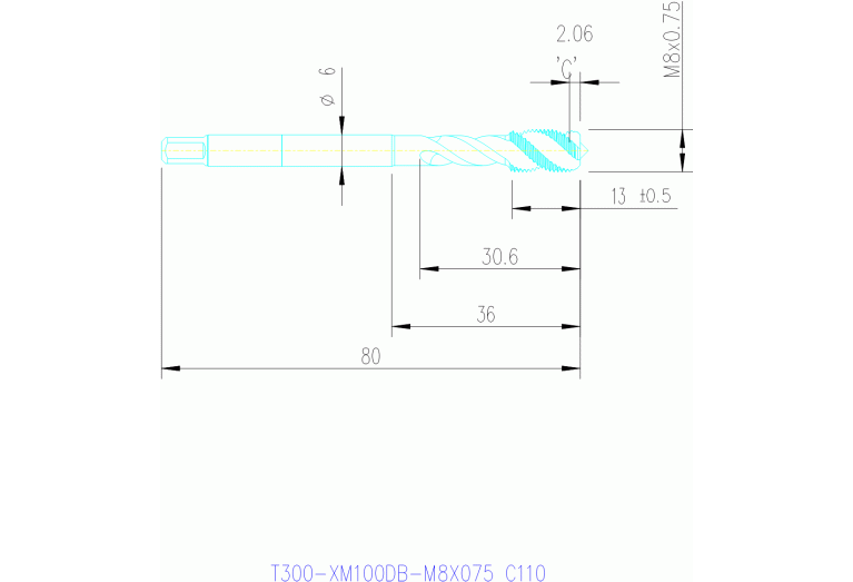 T300-XM100DB-M8X075 C110