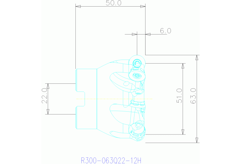 R300-063Q22-12H