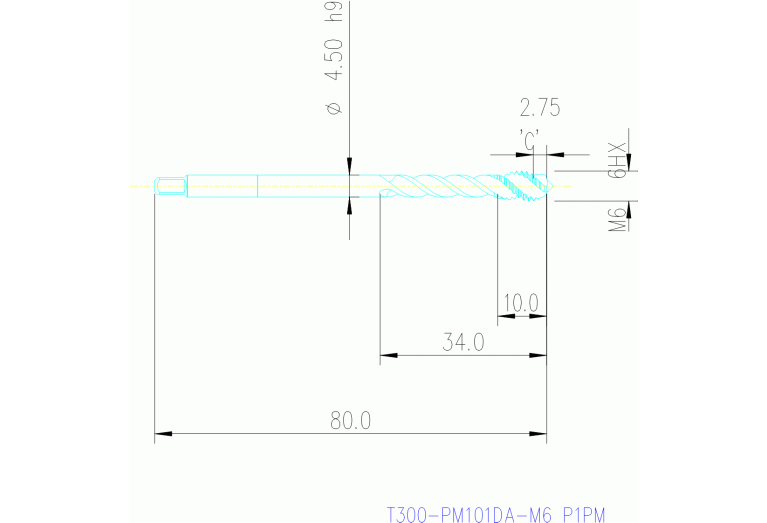 T300-PM101DA-M6 P1PM