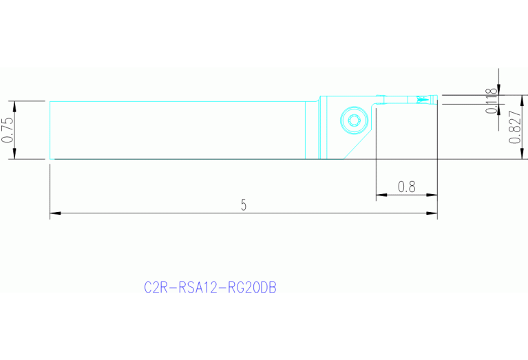 C2R-RSA12-RG20DB