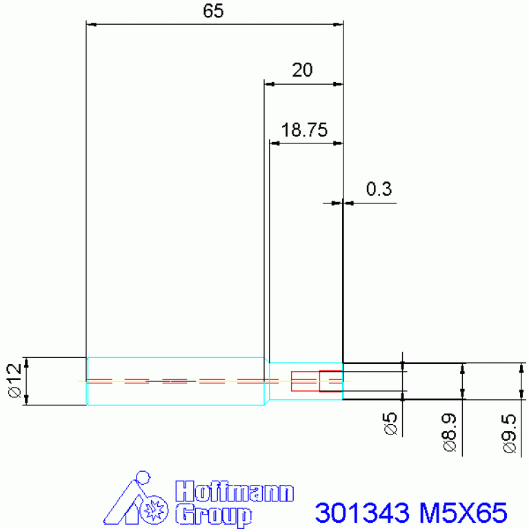 301343 M5X65