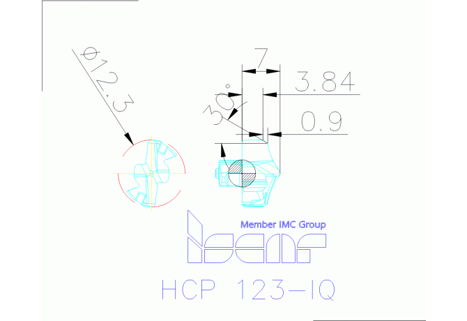 HCP 123-IQ IC908