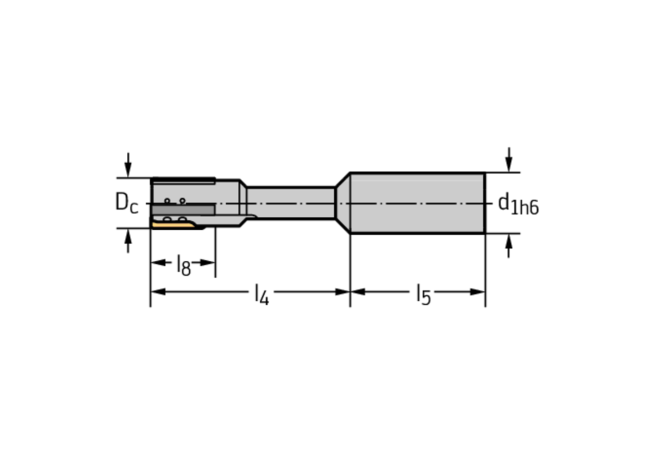 R4061.Z16.12H6.1.C-E1