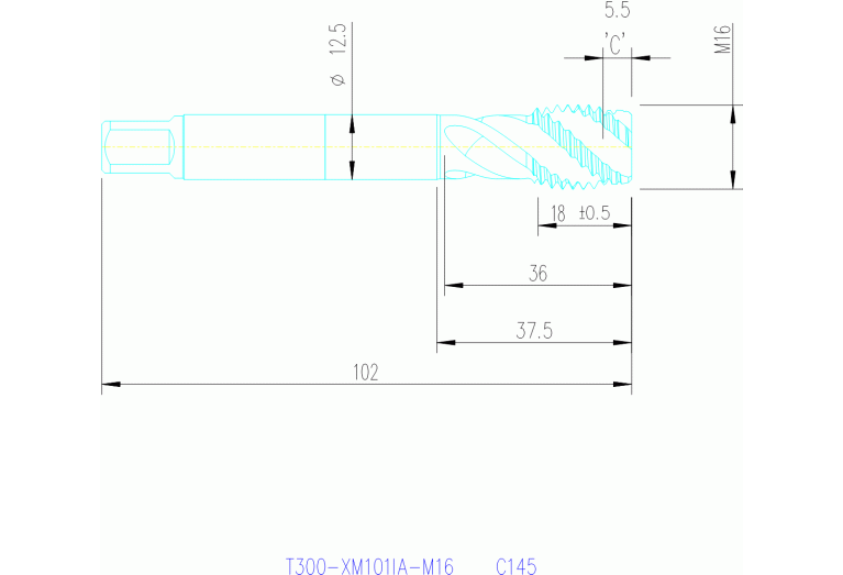 T300-XM101IA-M16 C145