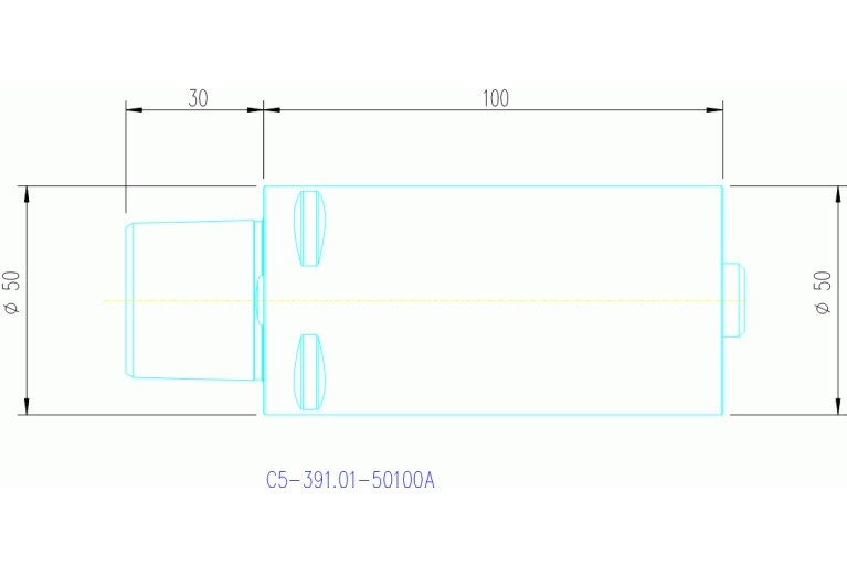 C5-391.01-50 100A