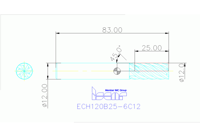 ECH120B25-6C12 IC903