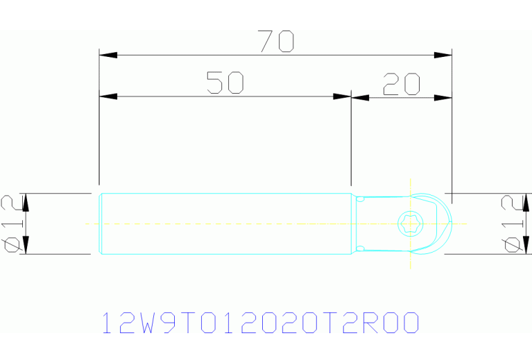 12W9T012020T2R00