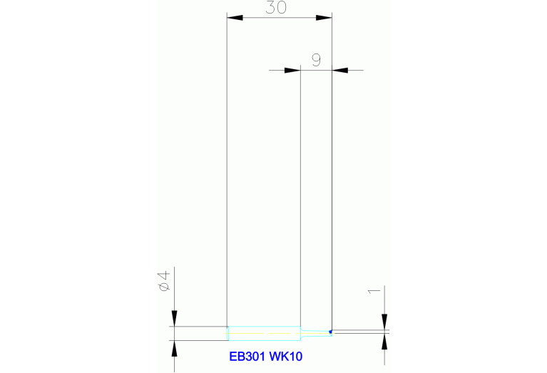 EB301 WK10
