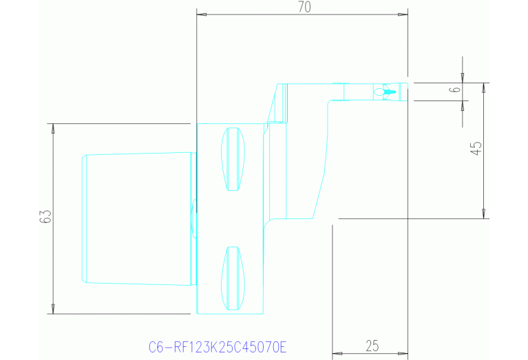 C6-RF123K25C45070E